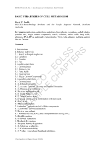 Basic Strategies of Cell Metabolism