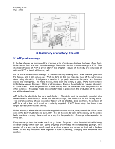 3. Machinery of a factory: The cell