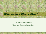 Plant Characteristics