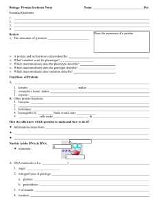 Protein Synth Notes GO New