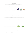 Cell Circuit Questions 1. Identify the organelle that controls the