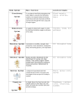 Body System graphic organizer