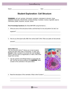 Cell Structure