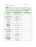 Cell Parts - Analogies