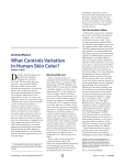 What Controls Variation in Human Skin Color?