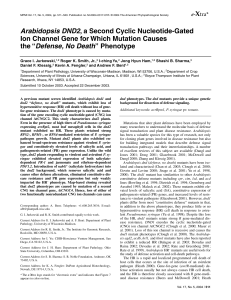 Arabidopsis DND2 , a Second Cyclic Nucleotide