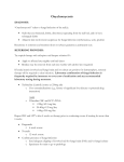 Onychomycosis Guidelines