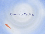 Chemical Cycling