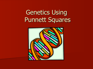 Genetics Using Punnett Squares