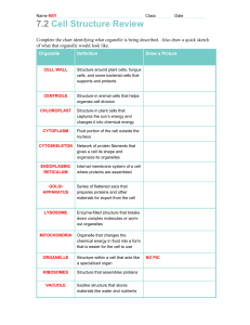 7.2 Cell Structure Review