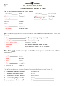 Macromolecules Worksheet #2