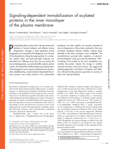 Signaling-dependent immobilization of acylated proteins in the inner