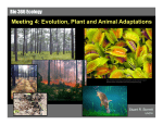 Meeting 4: Evolution, Plant and Animal Adaptations