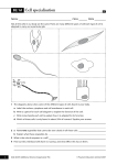 Cell specialisation