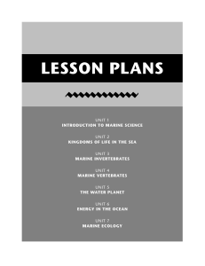 LESSON PLANS - hiddencorner.us