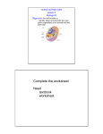 Lesson 4:cell structure and function