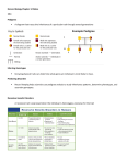 Honors Biology Chapter 12 Notes 12.1 Pedigrees A diagram that