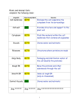 Plant and Animal Cells