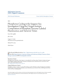 Phosphorus Cycling in the Sargasso Sea: Investigation Using the