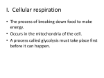 Cellular respiration