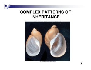 COMPLEX PATTERNS OF INHERITANCE