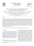 Cell type-specific activation of p38 MAPK in the brain regions of