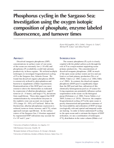 Phosphorus cycling in the Sargasso Sea: Investigation