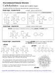 Macromolecule Molecular Structure Carbohydrates