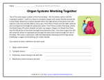 Organ Systems Working Together