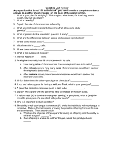 Insect Genetics
