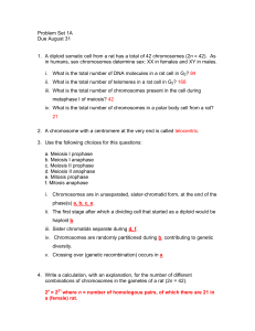 Problem Set 1A Due August 31 1. A diploid somatic cell from a rat