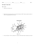 Bio Chapter 7 Study Guide - stjohns