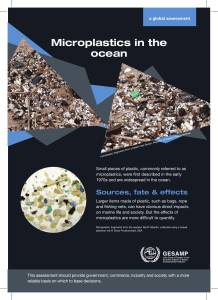 Microplastics in the ocean