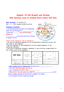 Chapter 10 Cell Growth and Division How Surface