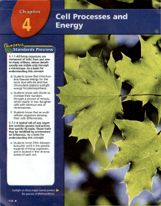 MS-SCI-LS-Unit 1 -- Chapter 4- Cell Processes and Energy