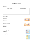 Lecture 8 Basics: Organelles Overview: Types of signaling Types of