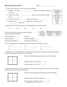 Bikini Bottom Genetics Review