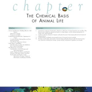 Chapter 30 - The Chemical Basis of Animal Life