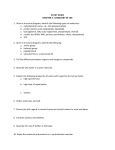 study guide - Dorman High School