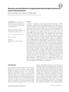 Diversity and distribution of pigmented heterotrophic bacteria in