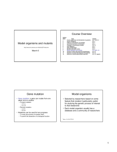 Model organisms and mutants