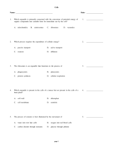Cells Name: Date: 1. Which organelle is primarily concerned with