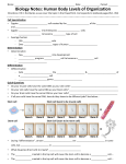 Biology Notes: Human Body Levels of Organization