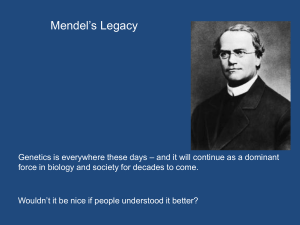 Mendel`s Legacy