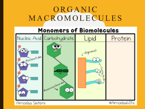 PDF UNIT 2A Macromolecule PPT