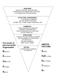 Five levels of Environmental Organization ABIOTIC FACTORS