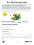 Fun with Photosynthesis