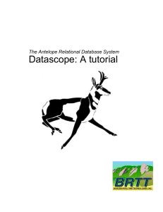 The Antelope Relational Database Management System