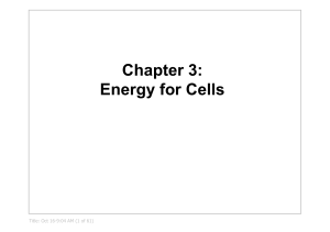 Chapter 3: Energy for Cells