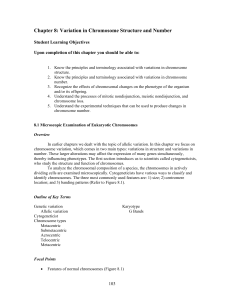 Chapter 8: Variation in Chromosome Structure and Number